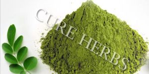 Moringa Dry Leaf Powder