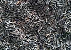Niger Seed