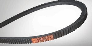 Carrot Harvester Belts