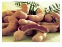 Tamarind