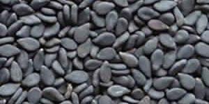 Sesame Seeds