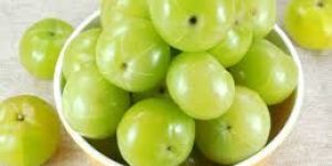 Fresh Amla