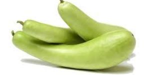 Fresh Bottle Gourd