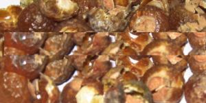Soap Nuts