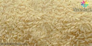 SONAMASOORI STEAMED RICE