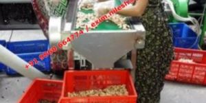 Automatic Cashew Processing Machine