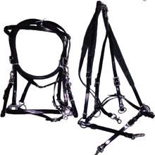 PVC Horse Bridle