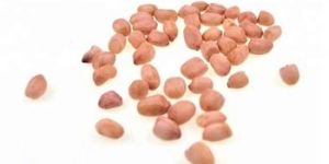 Peanuts and Groundnuts