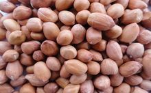 Groundnut Kernels