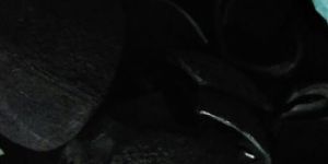 Coconut Shell Charcoal