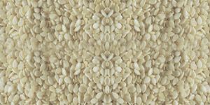 Hulled Sesame Seed Sortex