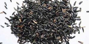 Niger Seeds
