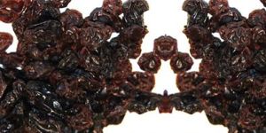 Raisin