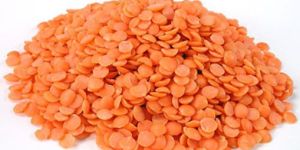 Red Lentils