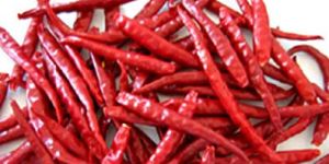 Stemless Chilli