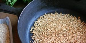 Toasted Natural Sesame Seeds