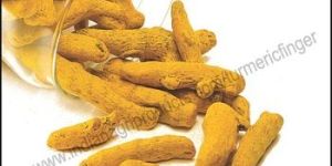 Turmeric Fingers