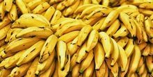 Plantain Banana