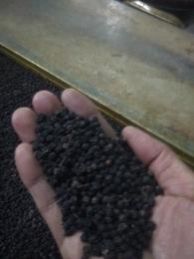 Black Pepper