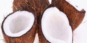 Fresh Semi Husked Mature Coconut