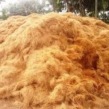 Coconut Mattress Fiber