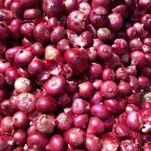 Natural Fresh Red Onion