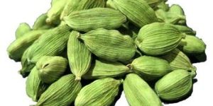 Cardamom