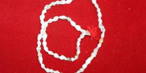 White Shankh Mala