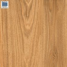 Glaze Vitrified Tiles