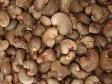 African Raw Cashew Nuts
