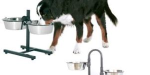 Adjustable Double Dinner