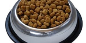 Belly Non Skid Bowls