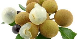 Canned Longan in Syrup