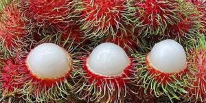 Canned Rambutan in Syrup