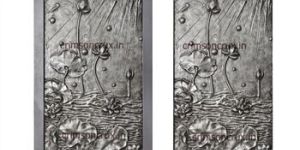 CONTEMPORARY INDIAN DOOR