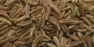 Cumin Seeds