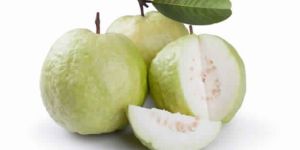 Guava
