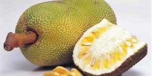 Jackfruit