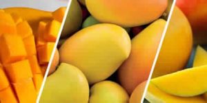 Mangoes