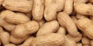 Peanuts