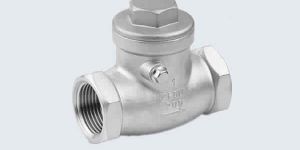 Stainless Steel Swing Check Valve