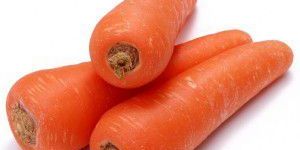Carrot