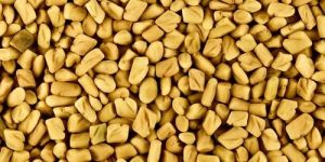 Fenugreek Seeds