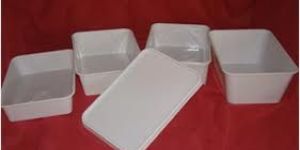 Plastic Rectangular Container