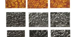 Diamond Metal Powder