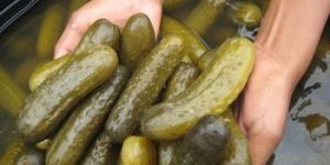 Gherkins in Salt Brine