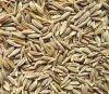 Cummin Seed