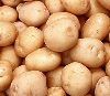 Fresh Potatoe