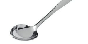 Stainless Steel Serving Spoon