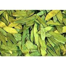 Cassia Angustifolia Extract